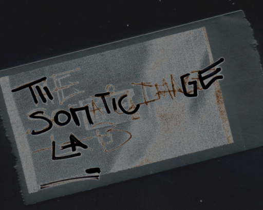 The Somatic Image -Lab